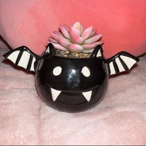 Pink Succulent in Bat Pot